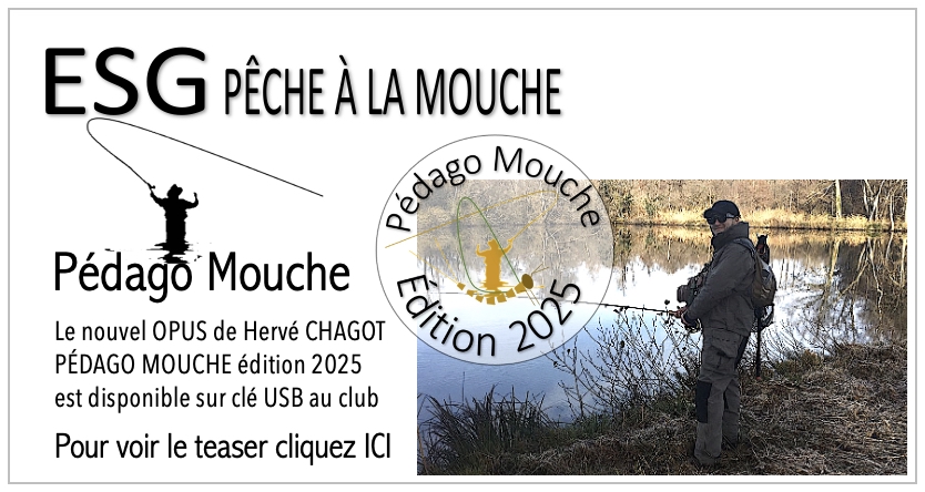 Pédago Mouche 2025