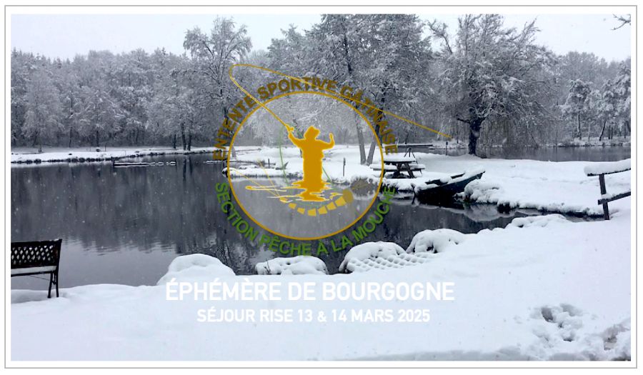 L'Éphémère de Bourgogne RISE Festival 2025