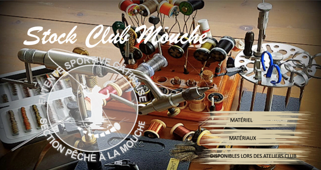 Stock Club Mouche